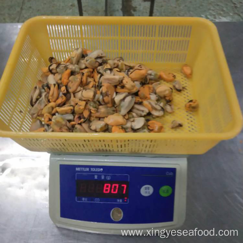 Frozen Boiled Mussel Meat